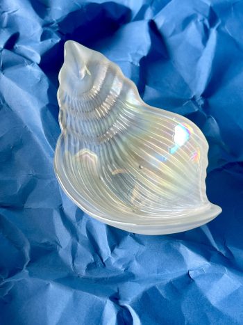 SHELL BOWL N°5