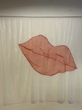 ROTE LIPPEN / female fragments